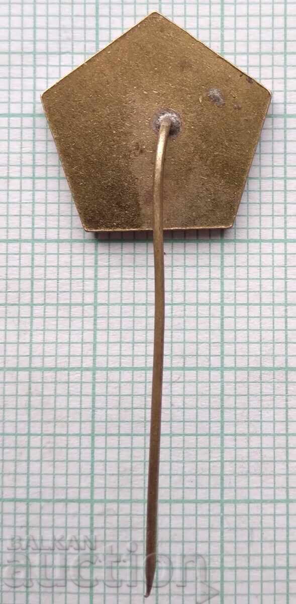 Auction  17276 Badge - September 9, 1944 - five-pointed star