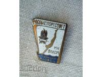 Badge - Komsomol VLKSM "Young Swimmer", USSR, Russia. Enamel