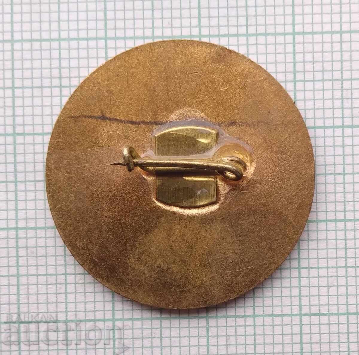 Auction  17304 Badge - Ski Cup Borovets 1975