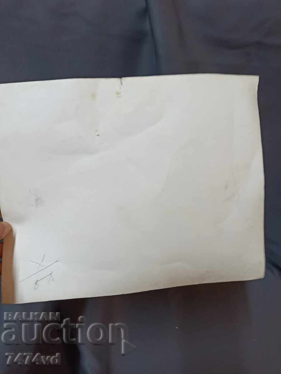 Large black and white photo archive of the Vidin State Theater with price 50.00 BGN | € 25.56 Large black and white photo archive of the Vidin State Theater with price 50.00 BGN | € 25.56