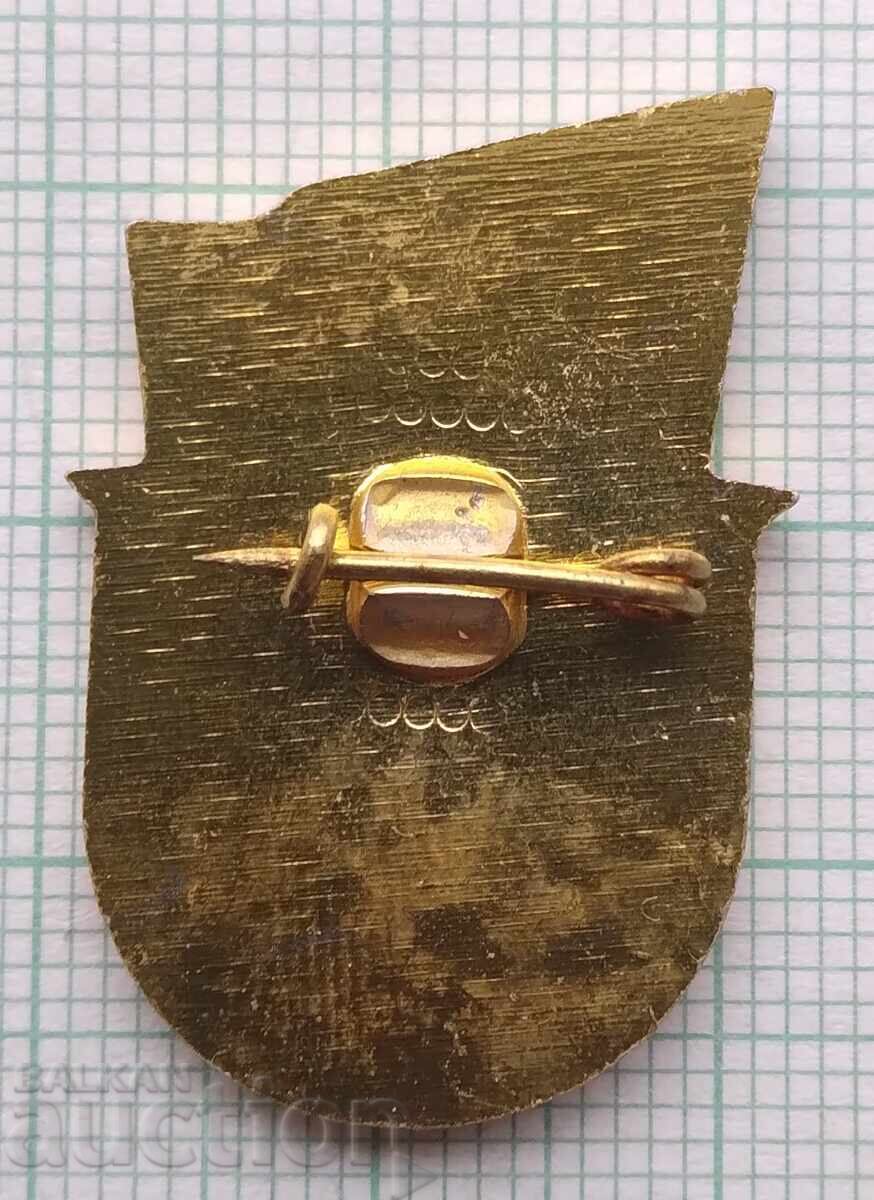 Auction  17311 Badge - Warrior Athlete ||| degree