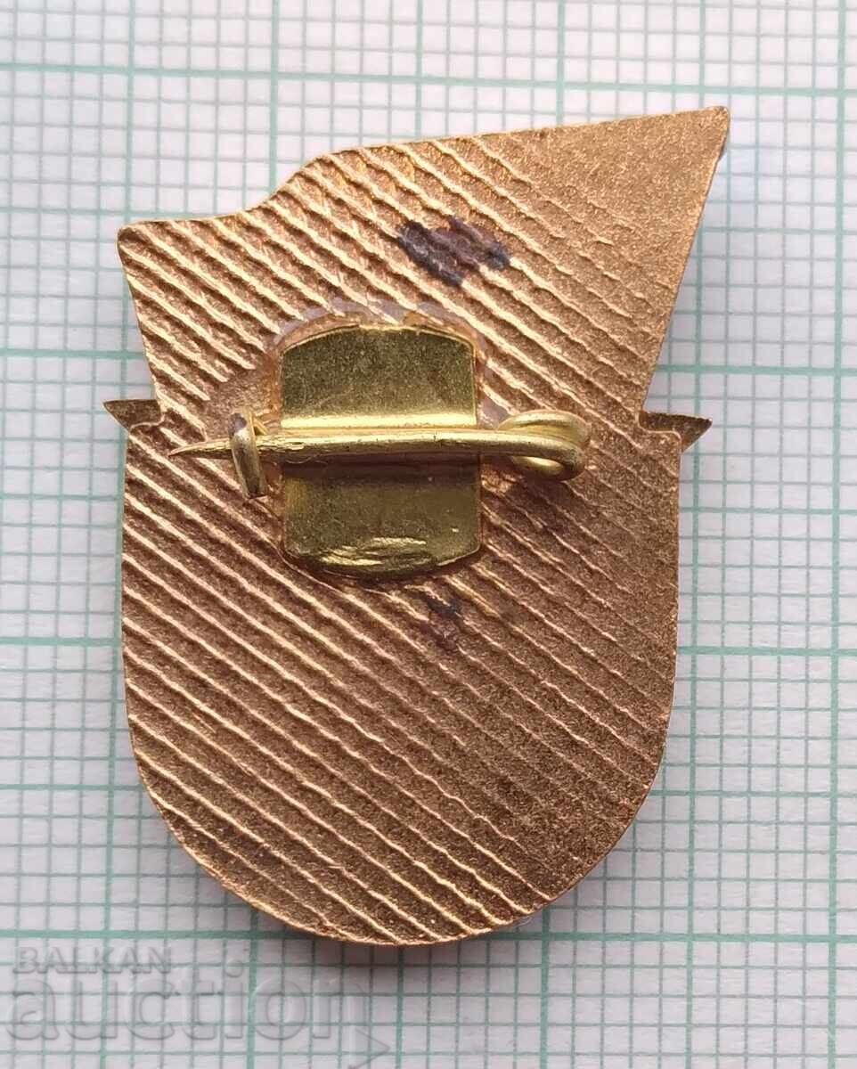 Auction  17312 Badge - Warrior Athlete III degree - enamel