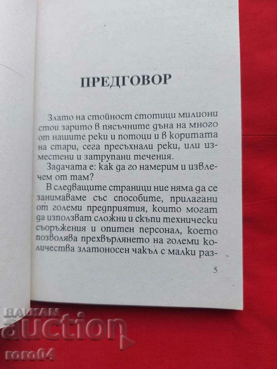 Auction  GOLD MINING GUIDE