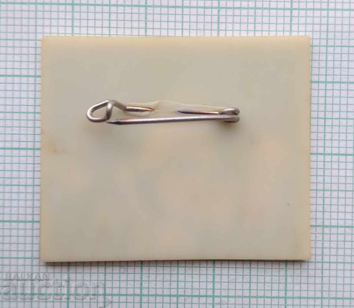 Auction 17378 Badge - heavy metal band Motley Crue USA Auction 17378 Badge - heavy metal band Motley Crue USA