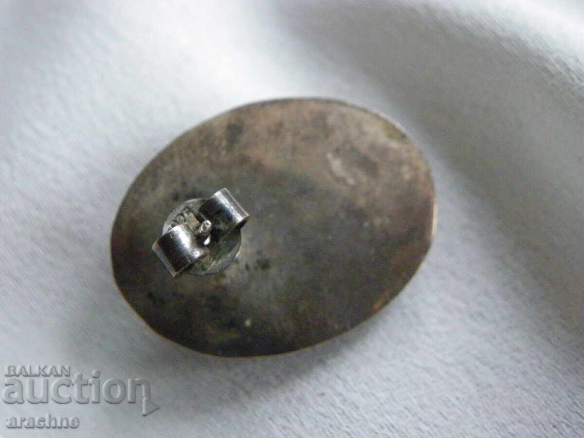 Cameo brooch, onyx, silver, glass Bohemia, Czechoslovakia, 1930s - 5 Cameo brooch, onyx, silver, glass Bohemia, Czechoslovakia, 1930s - 5