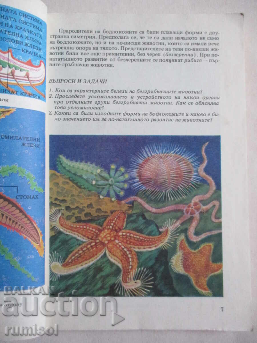 Licitație Biologie - clasa a VII-a, Tsolo Peshev Licitație Biologie - clasa a VII-a, Tsolo Peshev