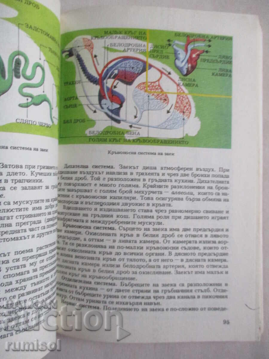 Biologie - clasa a VII-a, Tsolo Peshev - 5 Biologie - clasa a VII-a, Tsolo Peshev - 5