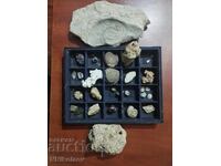 Small collection of fossils, minerals, corals - BZC