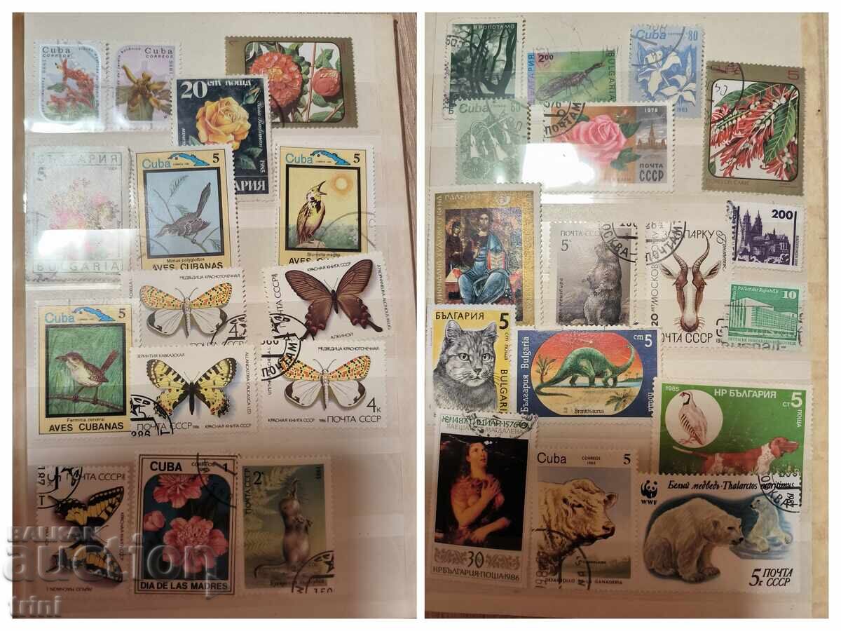 Класьор А5 с 16 страници и 223 пощенски марки - 7 Класьор А5 с 16 страници и 223 пощенски марки - 7