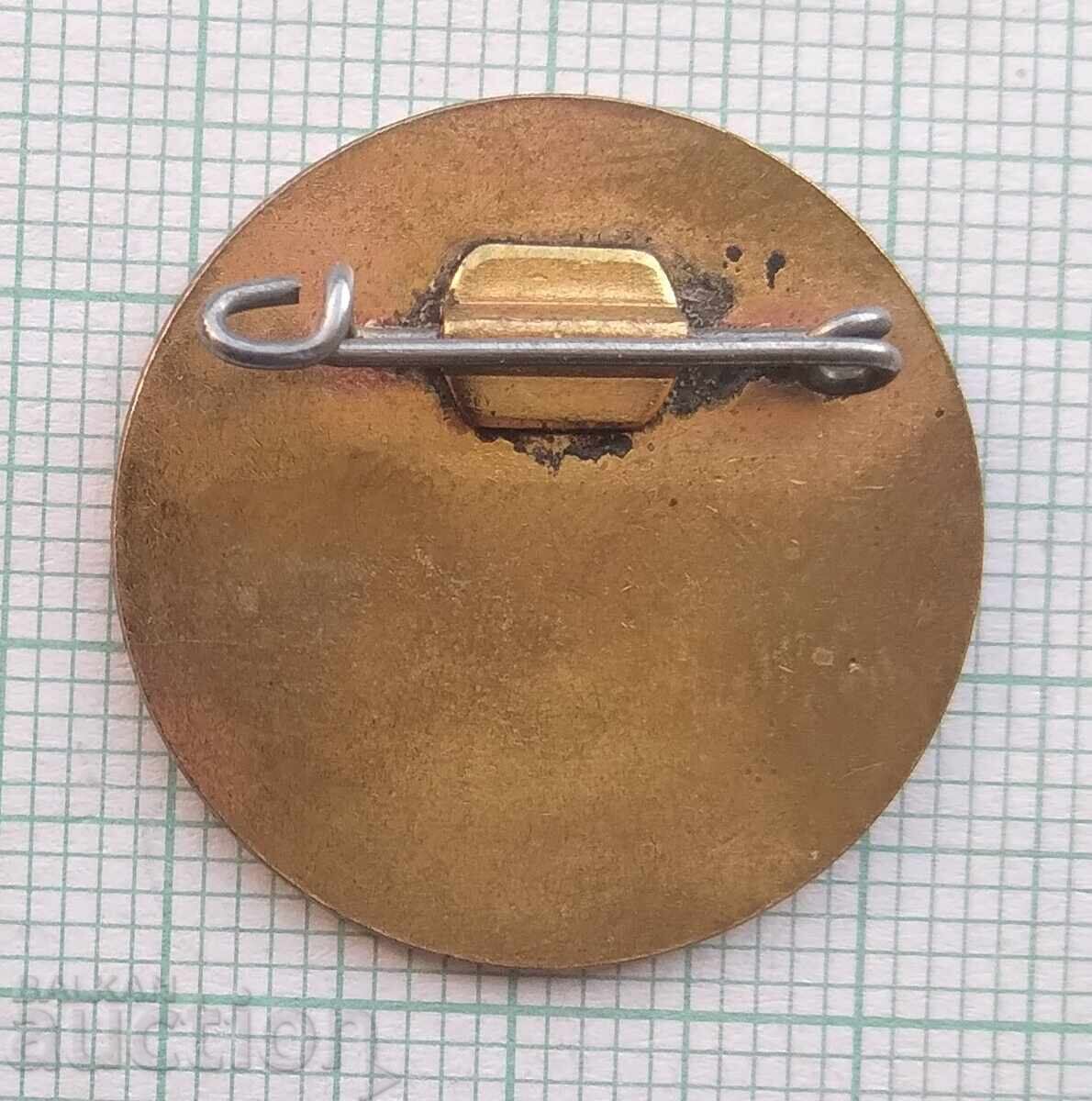 Licitație 17454 Insigna - 70 de ani de organizare a partidului Mezdren Licitație 17454 Insigna - 70 de ani de organizare a partidului Mezdren