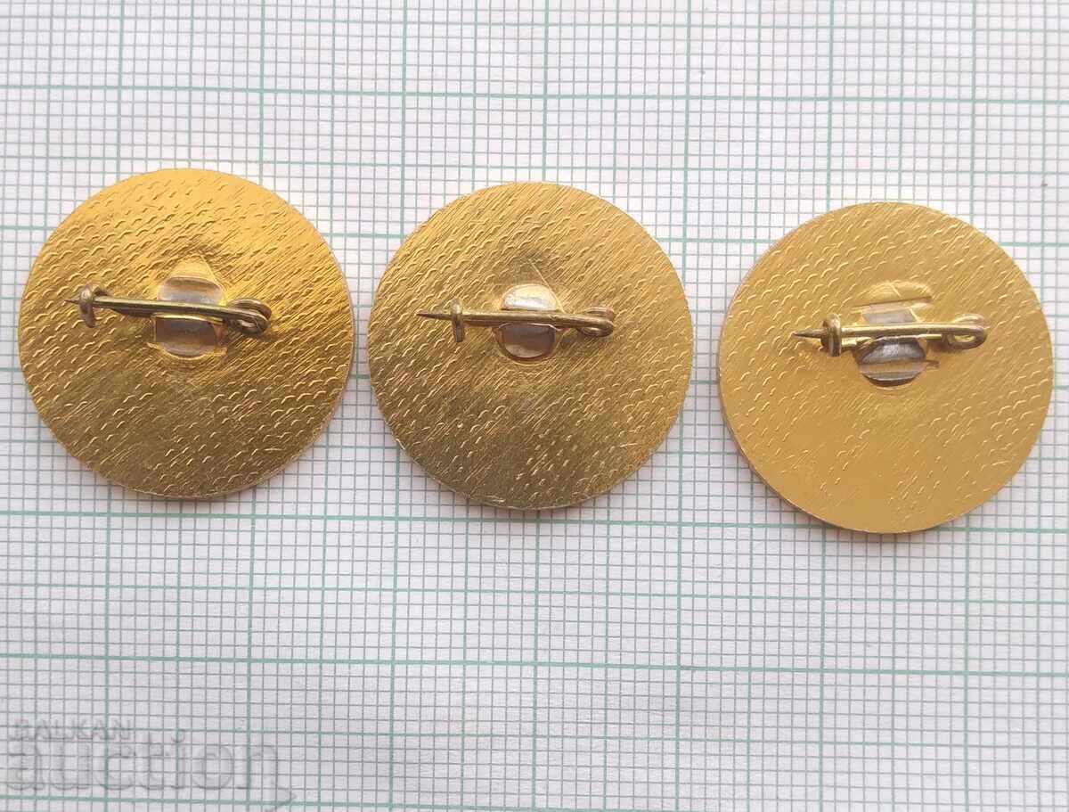 Licitație 17477 Insigna - Radioamator - LOT 3 buc Licitație 17477 Insigna - Radioamator - LOT 3 buc