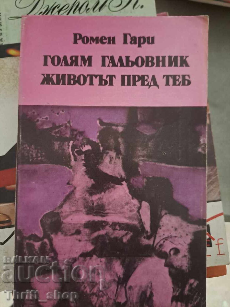 Ένα μεγάλο χαϊδευτικό σκυλί. Η ζωή μπροστά σου Romain Gary