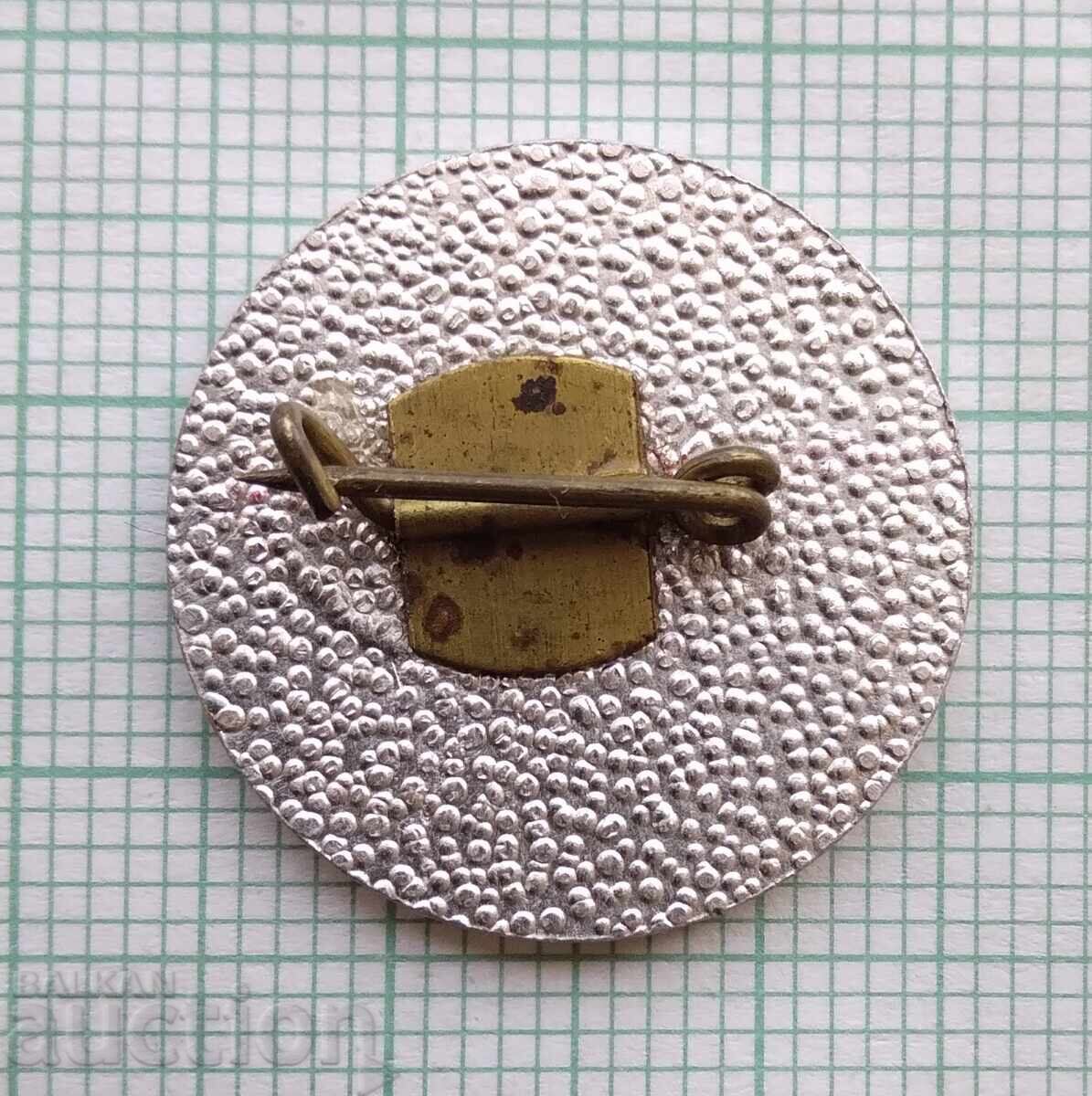 Auction 17495 Badge - Batak Hydroelectric Power Plant Auction 17495 Badge - Batak Hydroelectric Power Plant