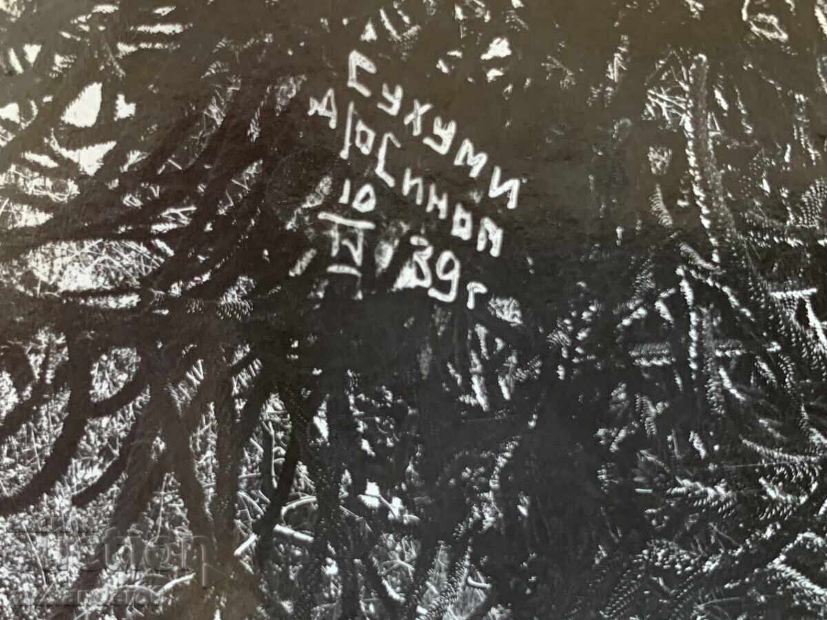 Gen. Kirill Kirilov Sukhumi USSR 1939 old photo - 5 Gen. Kirill Kirilov Sukhumi USSR 1939 old photo - 5