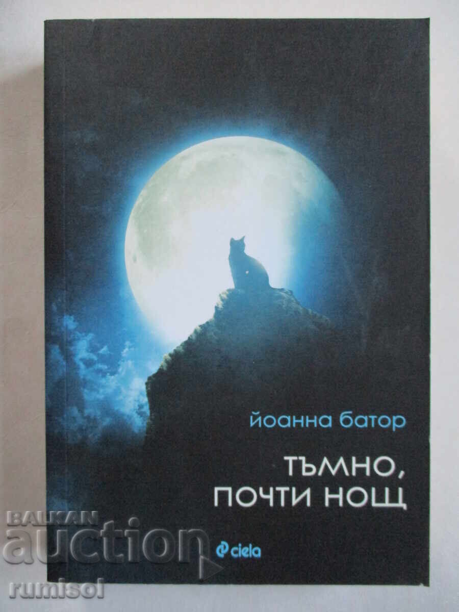 Dark, almost night - Joanna Bator Dark, almost night - Joanna Bator