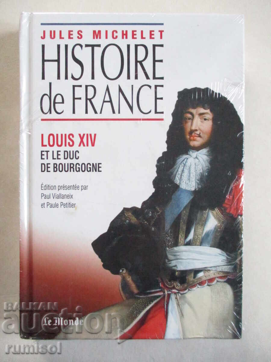 Histoire de France - Louis XIV et le duc de Bourgogne