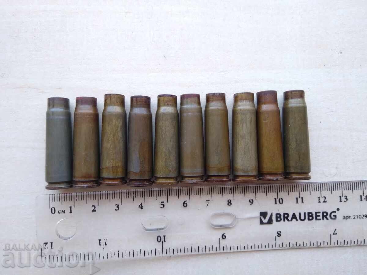 Auction 17584 Shells LOT 10 pcs Auction 17584 Shells LOT 10 pcs