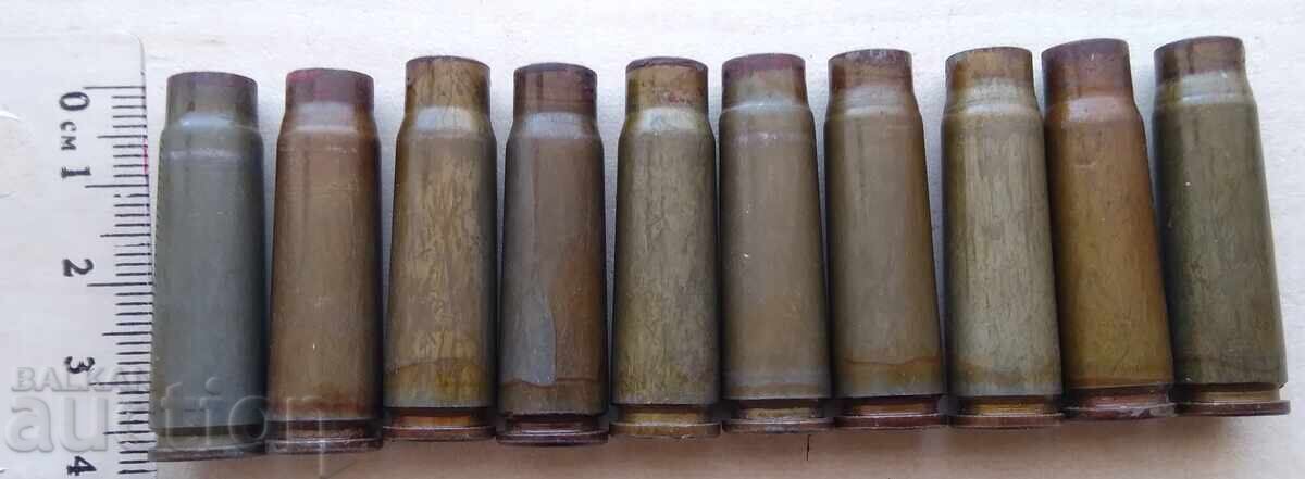 17584 Shells LOT 10 pcs 17584 Shells LOT 10 pcs