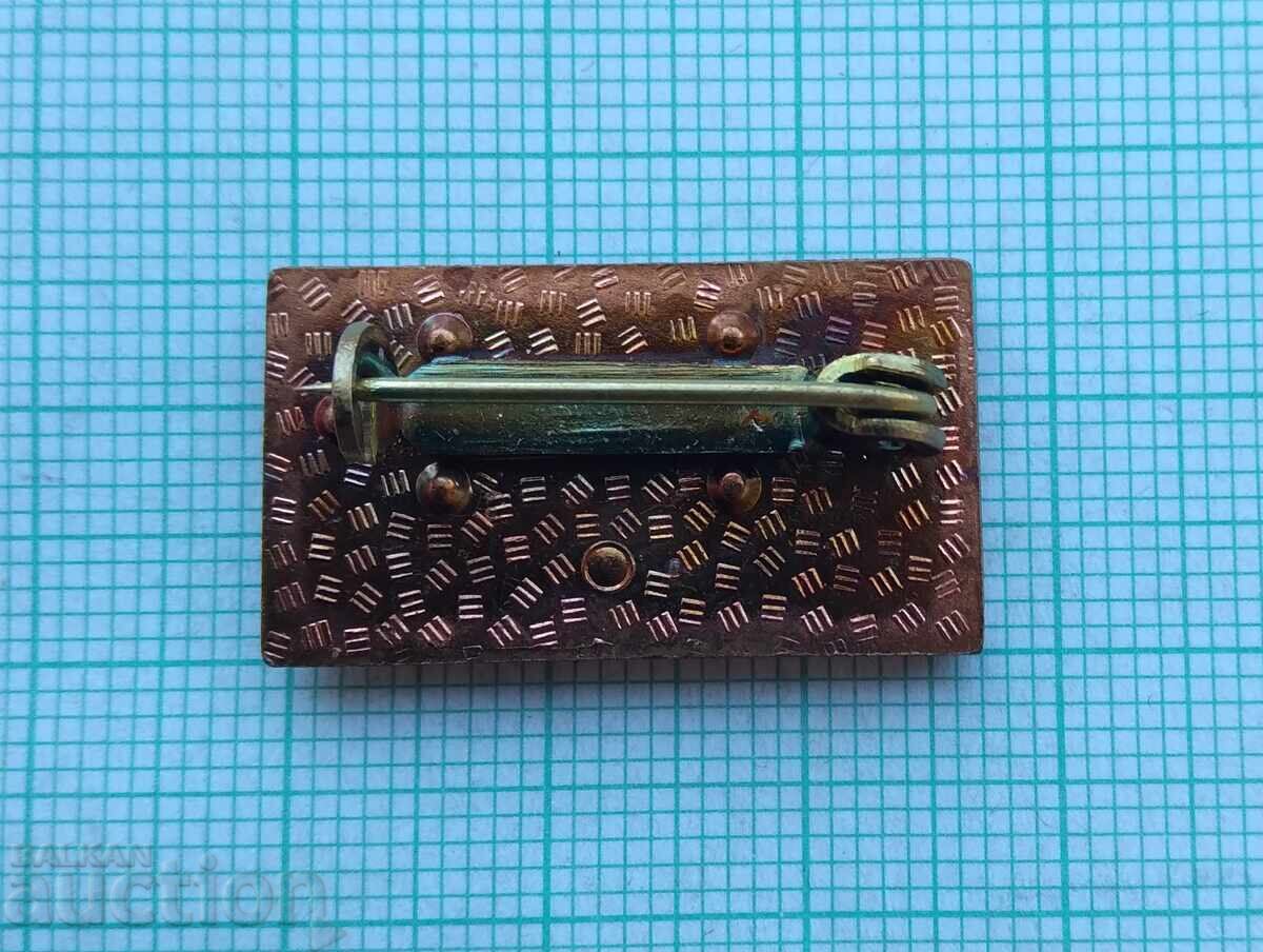 Auction 17590 Badge - GDR East Germany flag Auction 17590 Badge - GDR East Germany flag