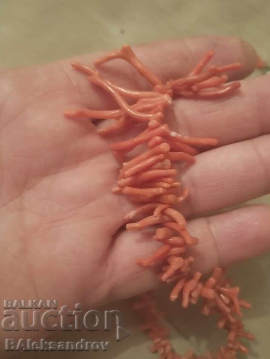 Natural coral necklace - 5 Natural coral necklace - 5