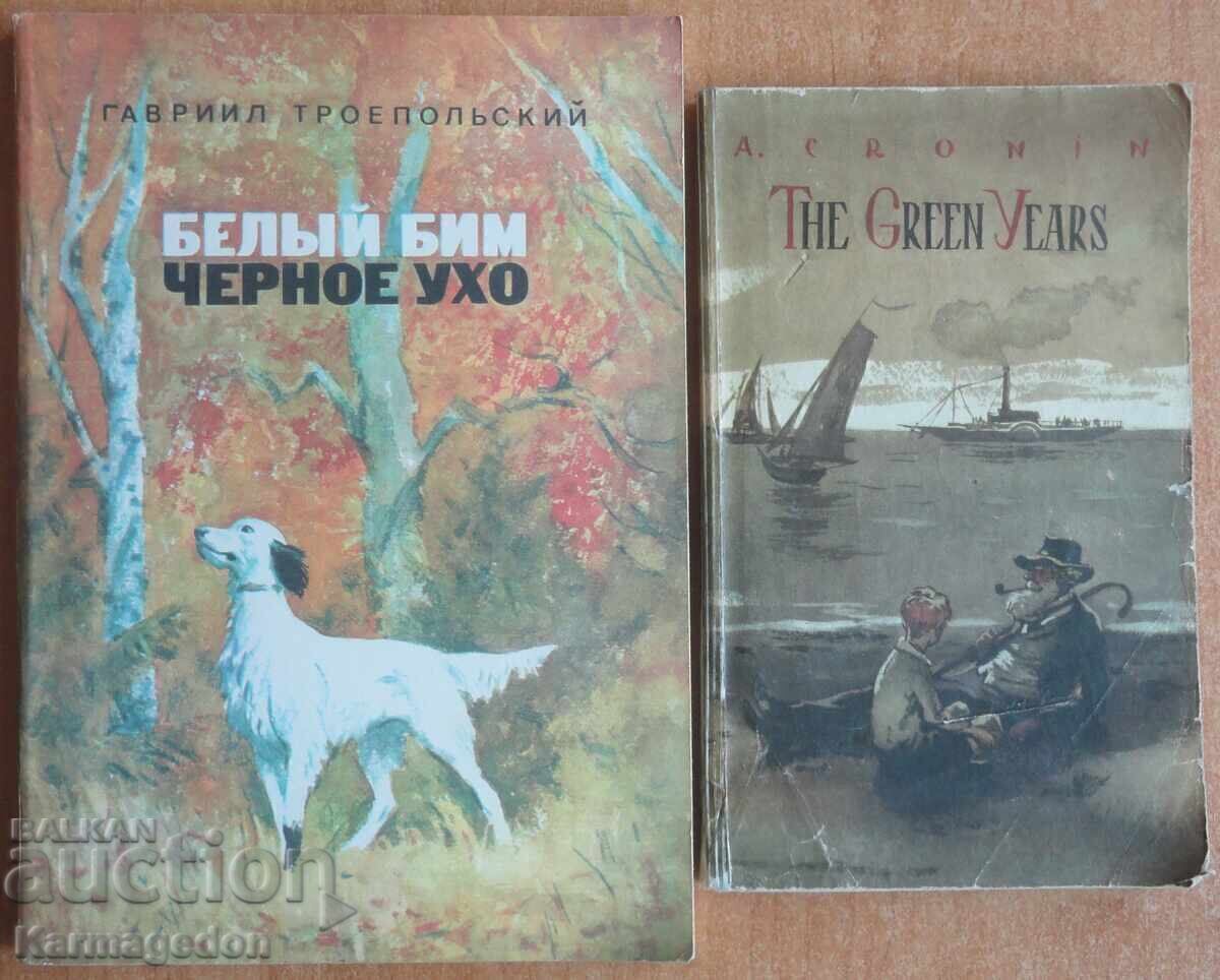 2 книги на руски и английски език 2 книги на руски и английски език