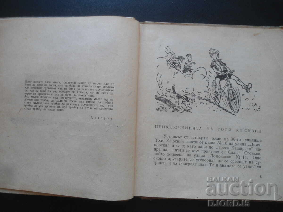 Auction  The Adventures of Tolya Klyukvin