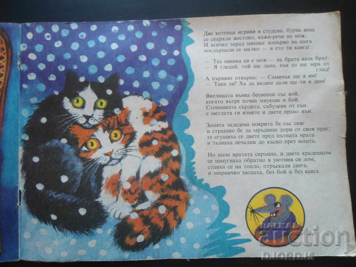 Delivery of Cat plays the violin Delivery of Cat plays the violin