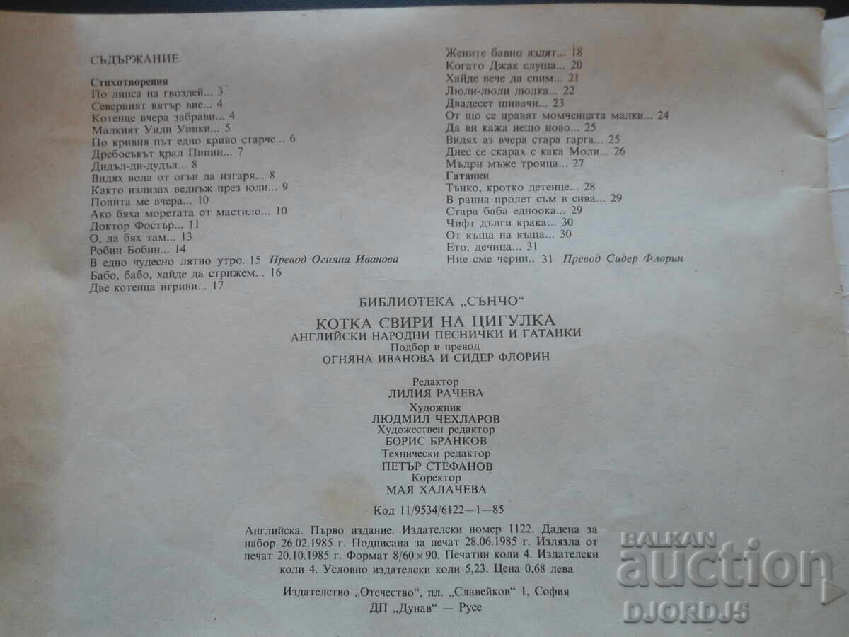 Cat plays the violin - 7 Cat plays the violin - 7