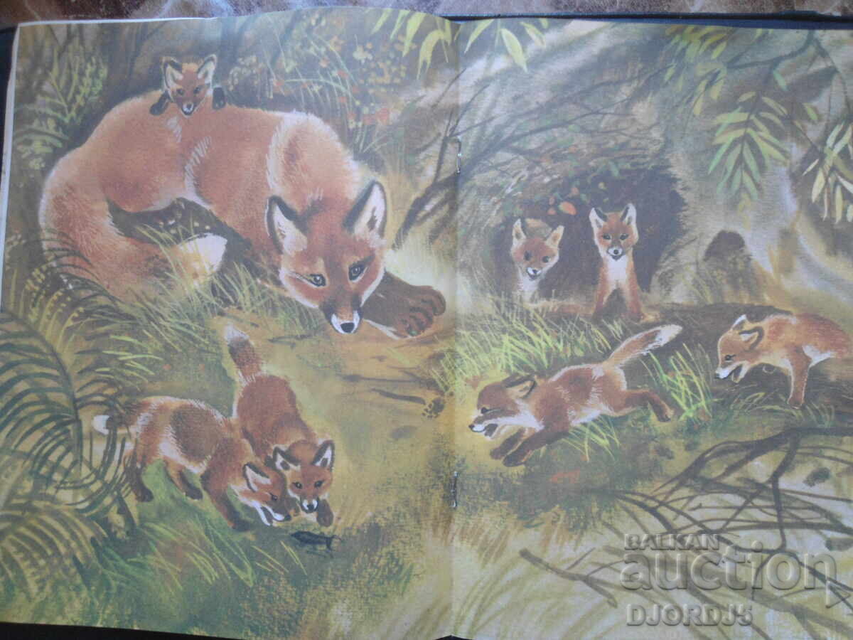 Livrarea Vulpea intepata