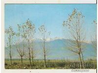 Postcard Bulgaria Bansko Pirin near Bansko*