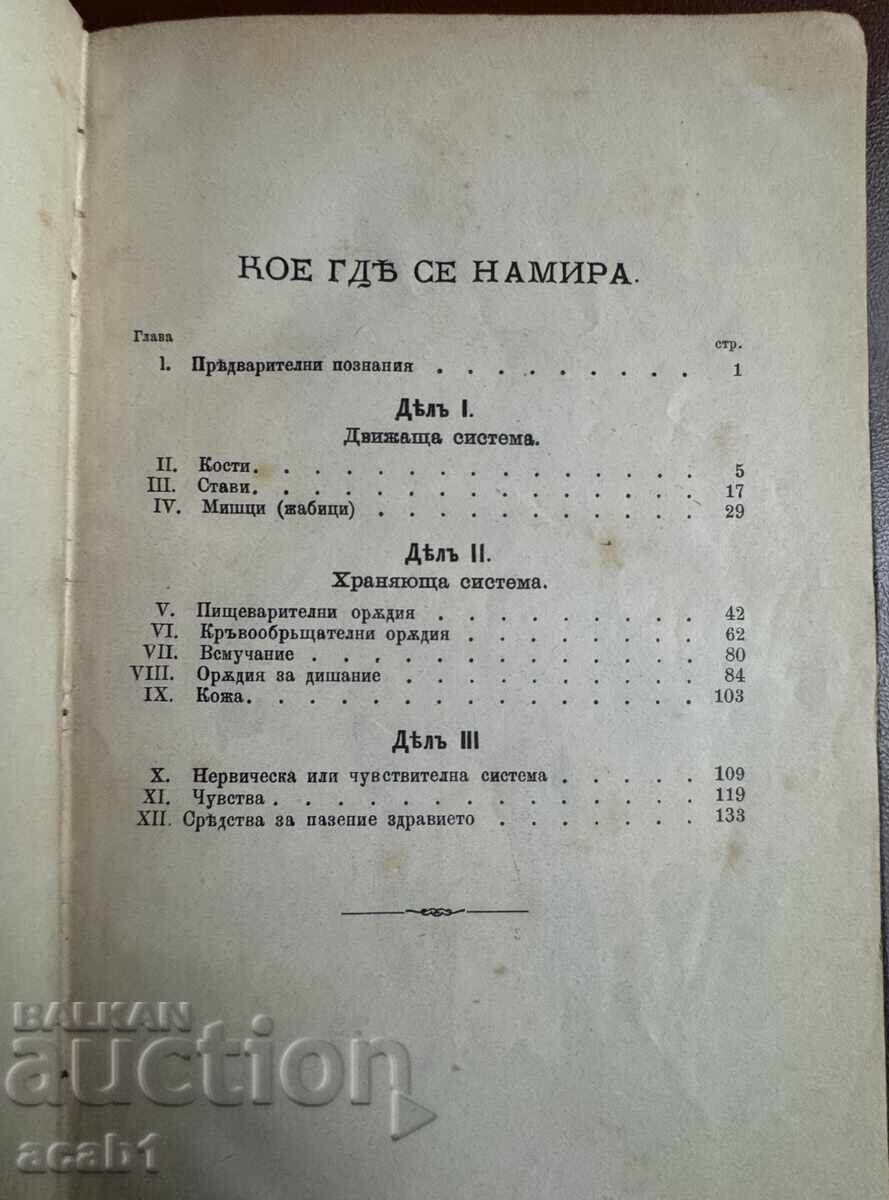 Auction Textbook 1883 Anatomy-Physiology-Hygiene Auction Textbook 1883 Anatomy-Physiology-Hygiene