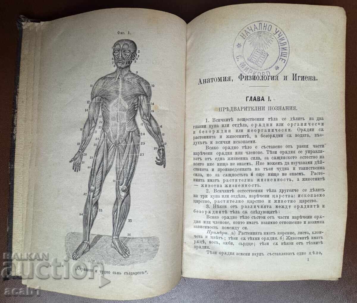 Delivery of Textbook 1883 Anatomy-Physiology-Hygiene Delivery of Textbook 1883 Anatomy-Physiology-Hygiene