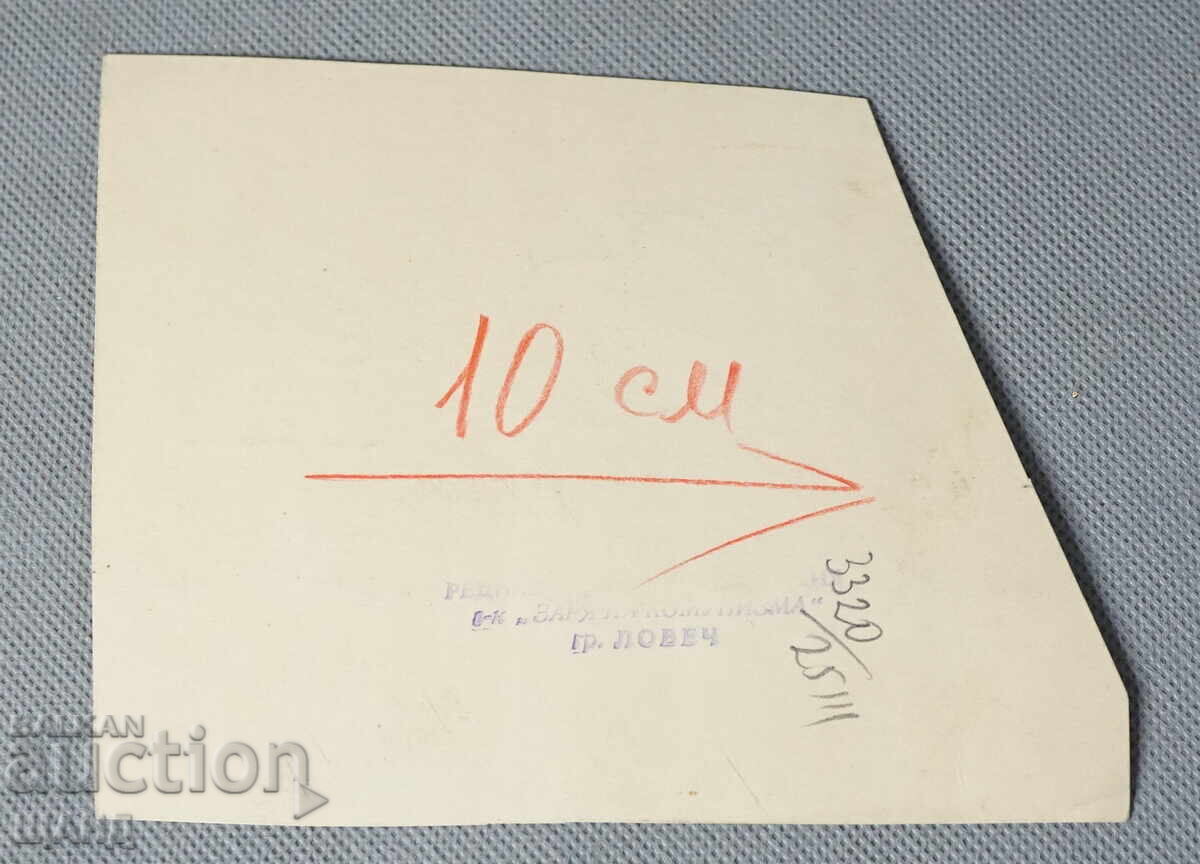 Vasil Penchev desen proiect de caricatură în zorii comunismului cu preț 5.00 BGN | € 2.56