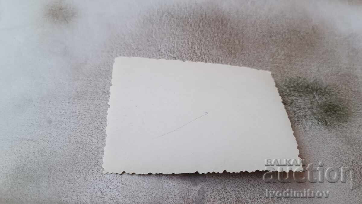 Φωτογραφία Δύο νεαρές γυναίκες στους αμμόλοφους με τιμή 1.65 BGN | € 0.84 Φωτογραφία Δύο νεαρές γυναίκες στους αμμόλοφους με τιμή 1.65 BGN | € 0.84