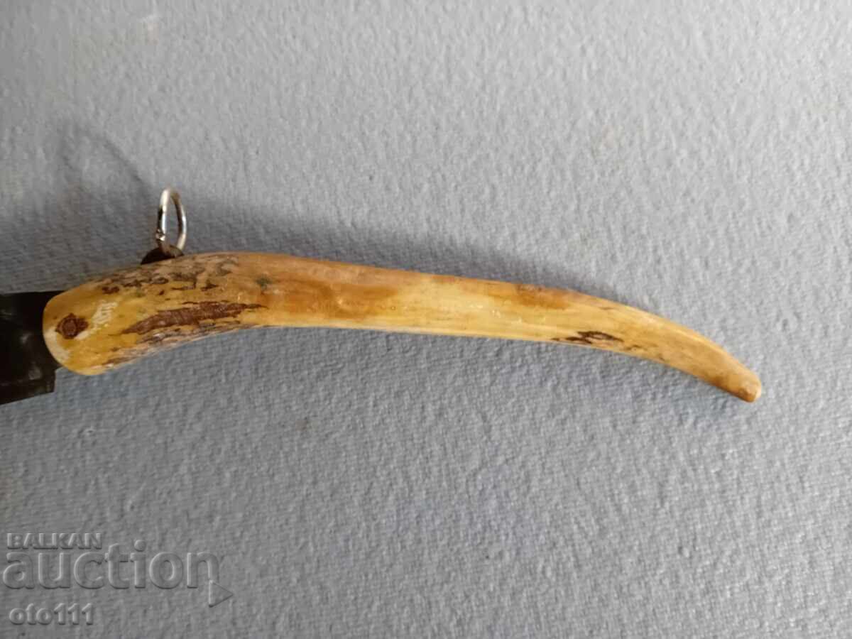 Auction  OLD KNIFE PERCH, JAY, HORN