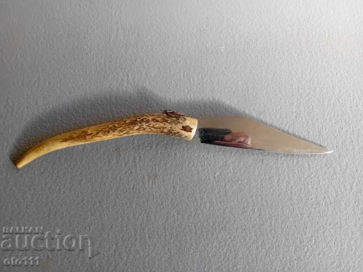 Delivery of OLD KNIFE PERCH, JAY, HORN