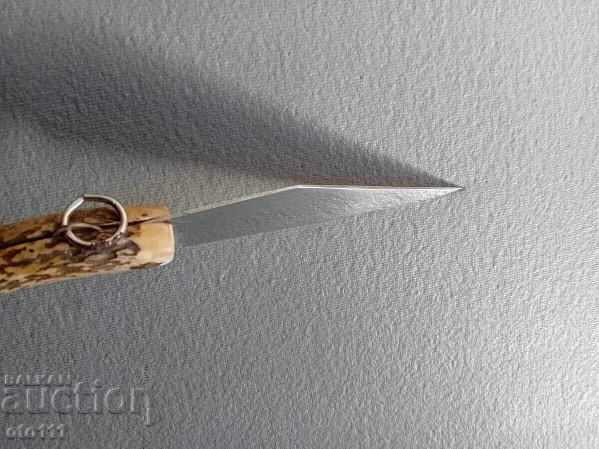 OLD KNIFE PERCH, JAY, HORN - 5