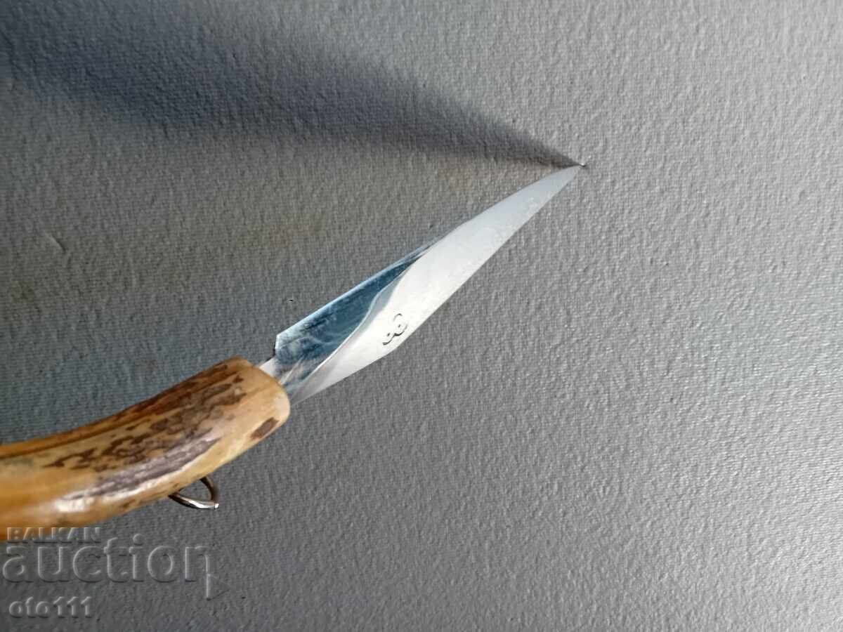 OLD KNIFE PERCH, JAY, HORN - 6