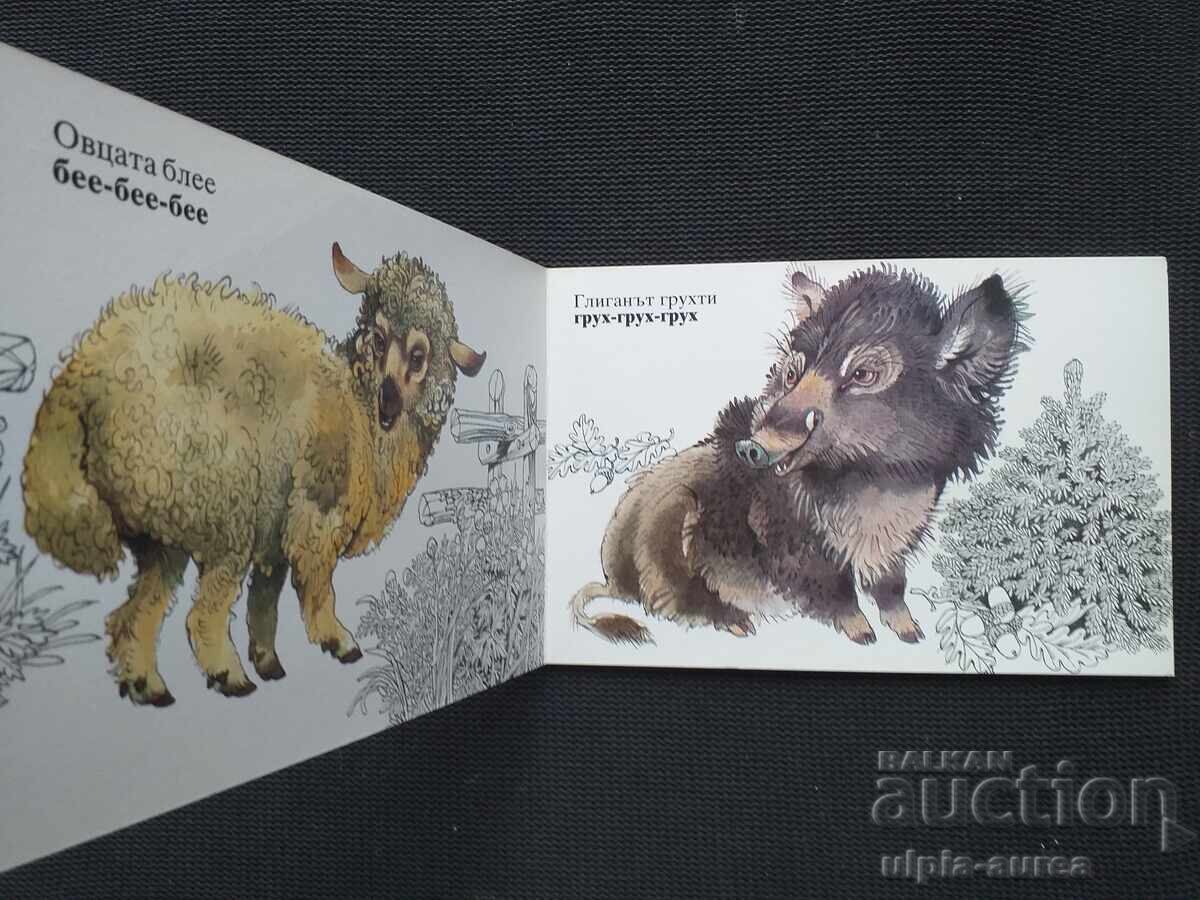 Auction Children `s book Auction Children `s book