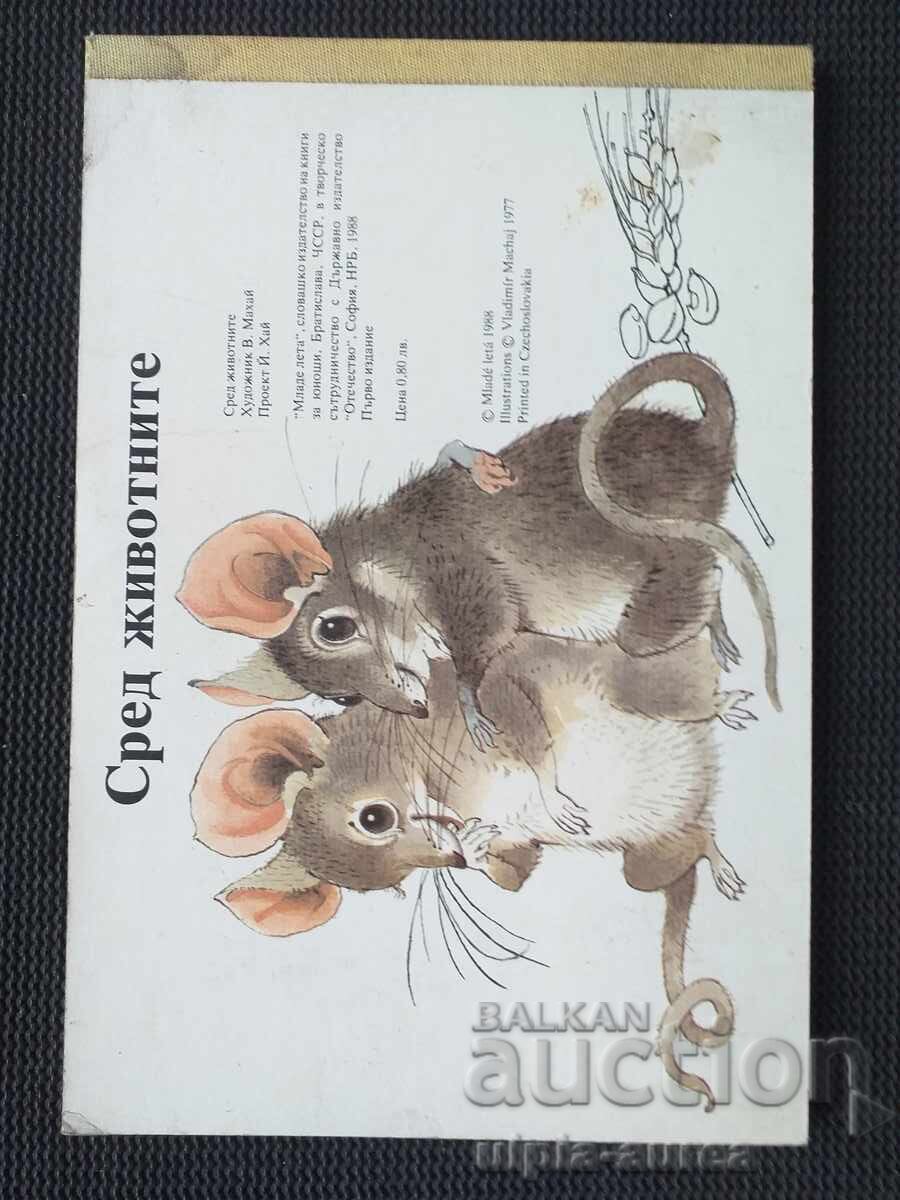 Children `s book - 6 Children `s book - 6