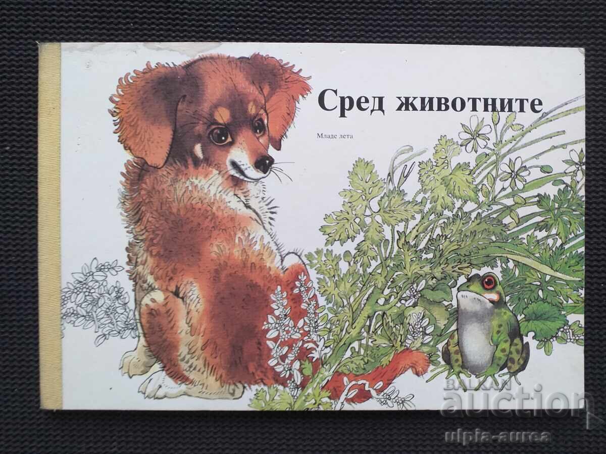 Children `s book Children `s book