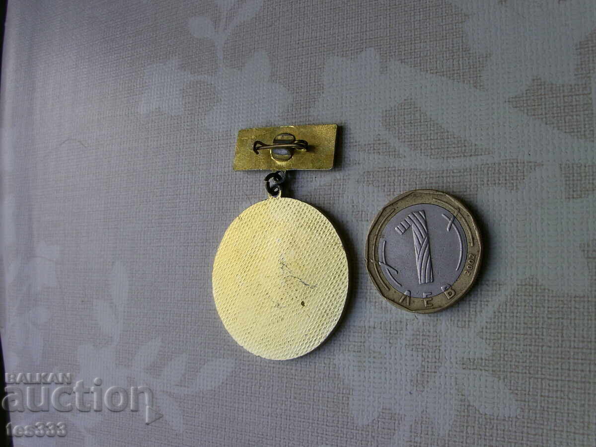 Insigna Mass Ski Races Piste Deschisă - 5 Insigna Mass Ski Races Piste Deschisă - 5