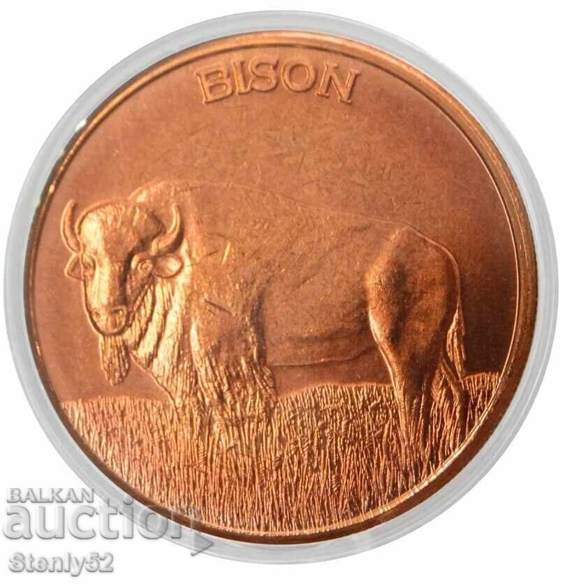 1 oz bar de cupru 99,9%