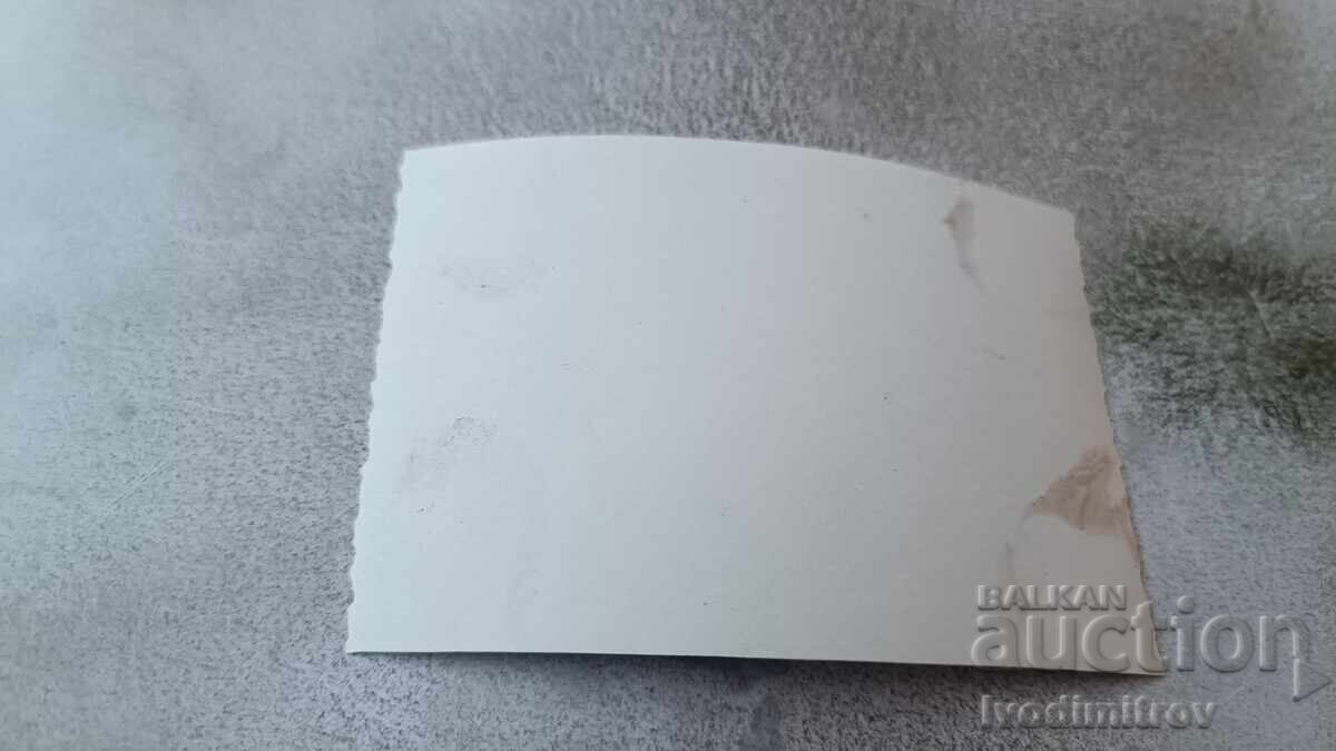 Photo Two men on deck chairs on a platform with price 2.35 BGN | € 1.20 Photo Two men on deck chairs on a platform with price 2.35 BGN | € 1.20