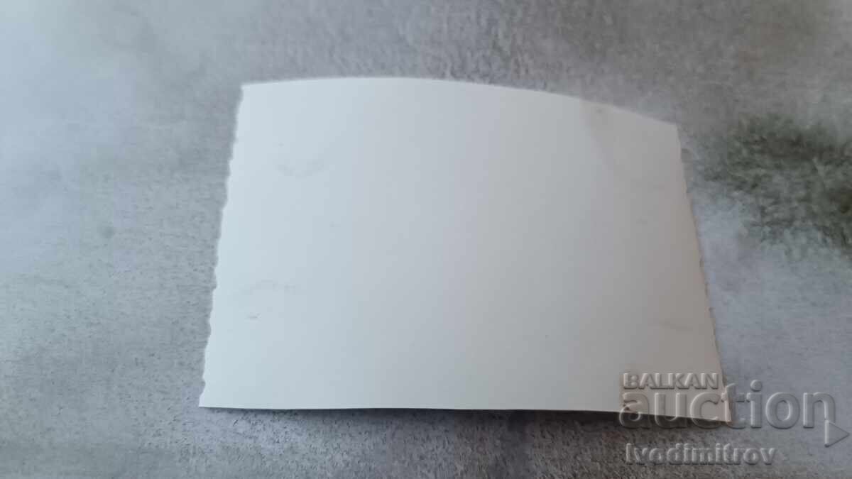 Photo Two men on deck chairs on a platform with price 2.35 BGN | € 1.20