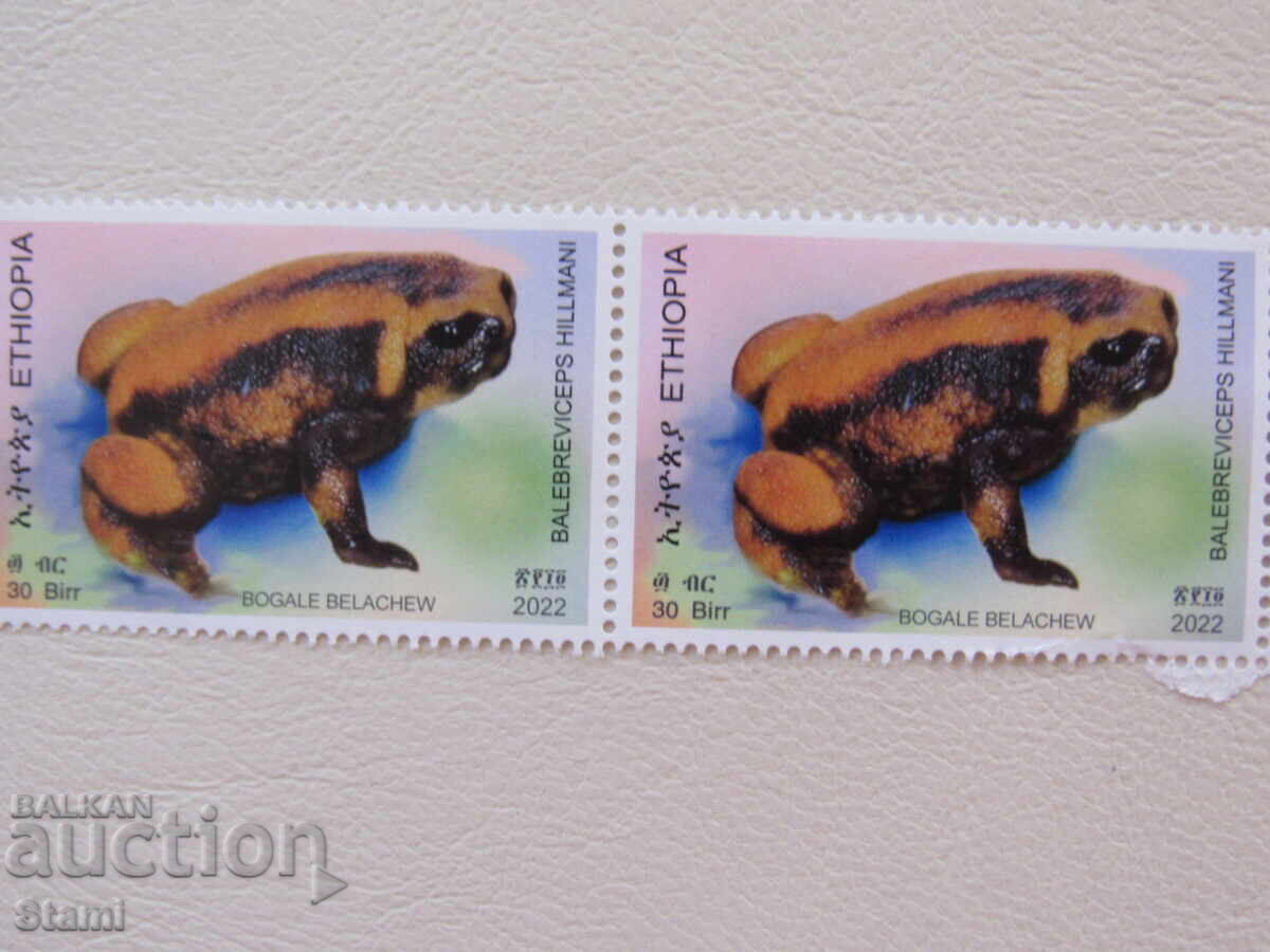 Frog stamps, 5 pieces, Ethiopia, mint, 2022 with price 6.90 BGN | € 3.53