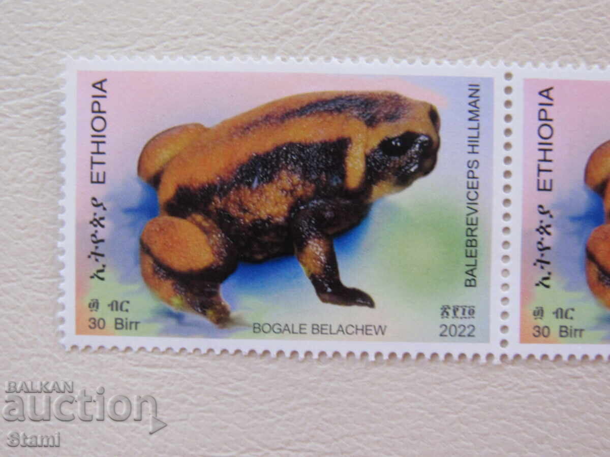 Auction  Frog stamps, 5 pieces, Ethiopia, mint, 2022