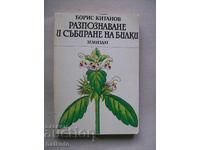 Разпознаване и събиране на билки