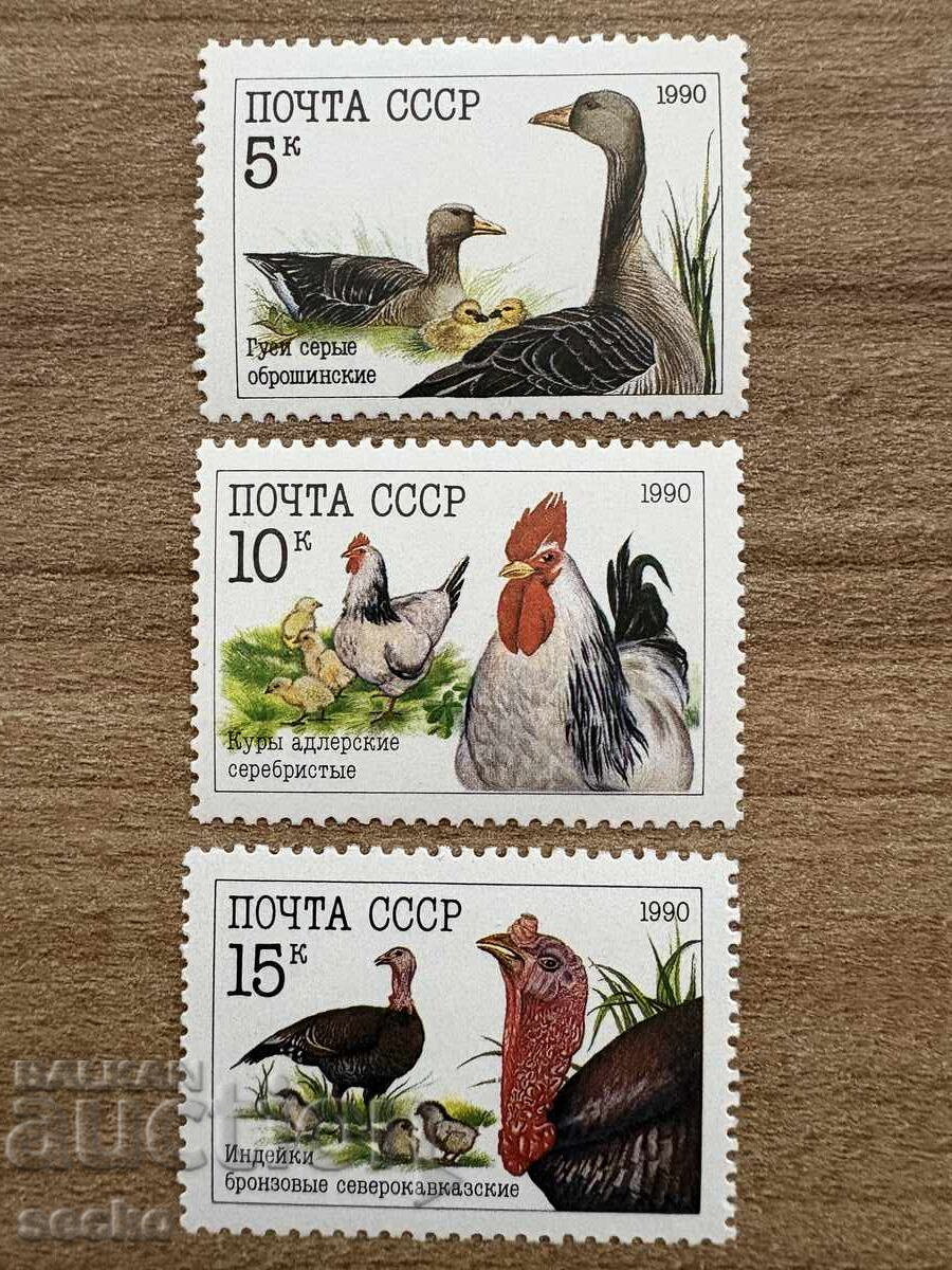 USSR - Poultry (1990) MNH