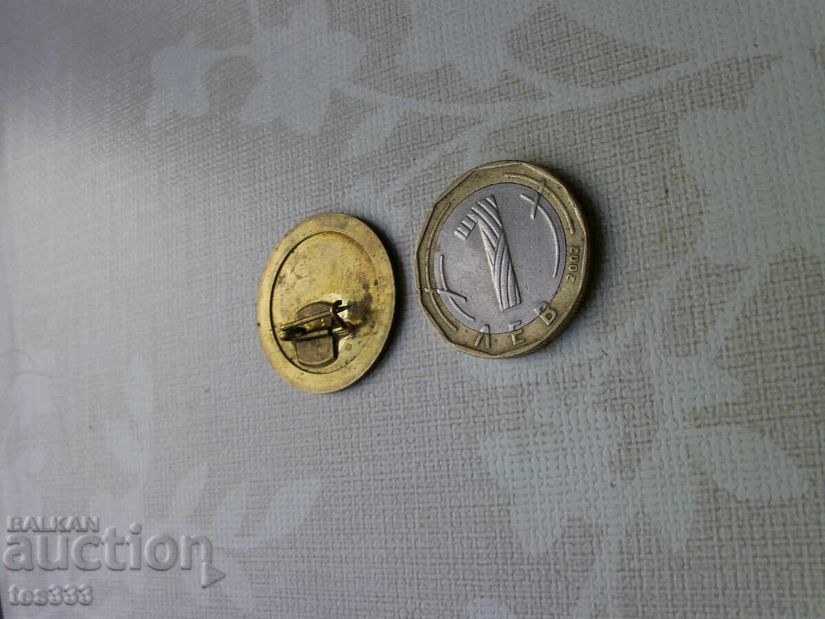 значка 30 години социалистическа революция в България бронз - 6 значка 30 години социалистическа революция в България бронз - 6